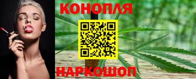 мдпв Обь