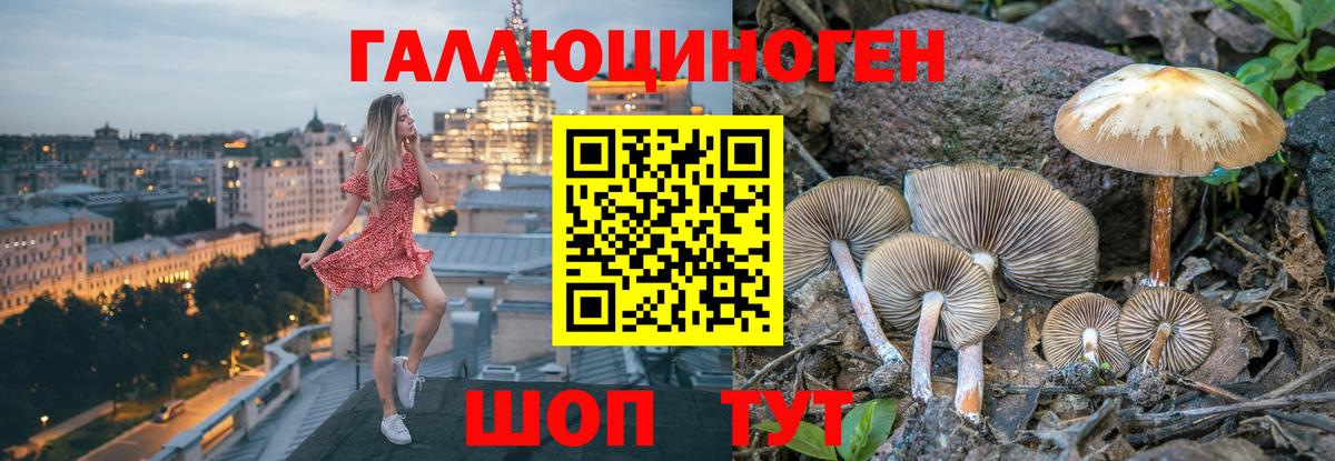 Свободный  Галлюциногенные грибы мицелий  Вход с VPN 